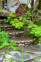 Steps through Japanese garden leading to stream, with Acers and marginal plants - RHS Chelsea Flower Show