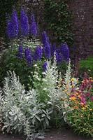 Mixed perennial border in courtyard garden, with Delphinium 'Black Knight, Geum 'Prinses Juliana', Nigella damascena 'Miss Jekyll' and Artemisia ludoviciana 'Valerie Finnis'. 

