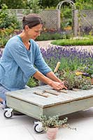 Woman planting a Kalanchoe tubiflora in pallet table. 