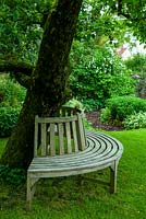Curved wooden seating at base of old apple tree - Open Gardens Day, Coddenham, Suffolk