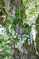 Floral wreath hanging from tree