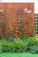 Corten steel screen with Verbena bonariensis camouflaging back gate and shed area