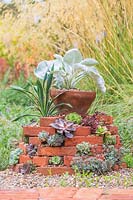 Overview of finished succulent tower topped with Senecio Angel Wings