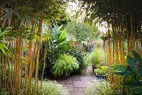 Stands of Phyllostachys aureosulcata f. spectabilis frame a view into the sunken garden, full of lush plants in containers including Hakonechloa macra 'All Gold', Dahlia 'Bishop of Llandaff', Canna iridiflora and pennisetums