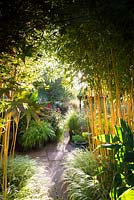 Stands of Phyllostachys aureosulcata f. spectabilis standing amongst Hakonechloa macra 'Albostriata' frame a view into the sunken garden, full of lush plants in containers including Hakonechloa macra 'All Gold', Dahlia 'Bishop of Llandaff' and pennisetums
