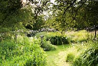 Orchard with long grasses dotted with hardy geraniums and ox-eye daisies and a central sundial 