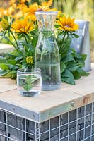 Gabion and scafolding board table with built in planter planted with Rudbeckia 'Summerina Butterscotch Biscuit'. Table dressed with glass, decanter and watering can. 