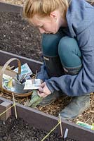 Young girl checking the packet instructions before planting lettuce and spinach seeds in a raised bed made from recycled plastic