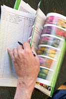 Choosing spring bulbs from a mail order catalogue