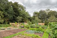 View from traditional all vegetable allotments to an alternative which includes ornamental planting
