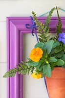 Small terracotta pot planted with orange Viola and fern leaves suspended within a purple picture frame