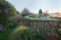 Sculptural curved Hornbeam hedge with autumn foliage and fading Veronicastrum and Sanguisorba seedheads