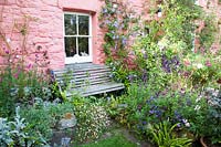 Colourful summer display of Erigeron, Eryngium, Salvia and Clematis in front of cottage 