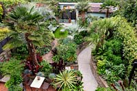 A tropical garden in London. High view of garden showing curved path leading through borders to seating areas