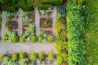  The Vegetable Garden with formal planting of Cynara cardunculus 'Florist Cardy' and Heucera 'Palace Purple'. Egg cup topiary of buxus sempervirens. Image taken from drone. The garden has been created since 1987 by garden writer Anne Wareham and her husband, photographer Charles Hawes.