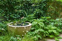 Detail of small patio garden with circular pond and foliage plants including rogersia, polygonatum, epimedium, anemone and hydrangea