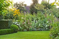 Mixed summer bed with mostly white plants including Hydrangea paniculata 'Early Sensation', which is already turned pink, Agastache rugosa 'Alba', Carex, Dahlia 'Snowflake', Ammi majus.