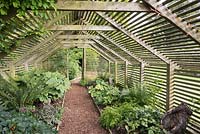 The Shade House planted with shade-loving plants such as ferns, podophyllums and begonias at Bourton House, Gloucestershire, UK.