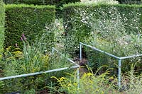 Hedges of Taxus baccata sounding formal garden with railings of mild steel around borders with Althea cannabina and Solidago rugosa 'Fireworks' 