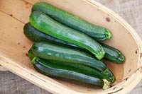 Courgettes in a basket. 