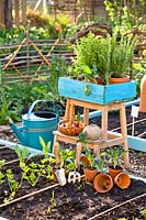 Seedlings, potted plants and tools around a raised bed in a vegetable garden