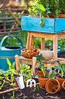 Seedlings, plants in pots and tools around a raised bed