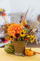 Autumnal arrangement including Rudbeckia, Helenium, Dahlia, Salvia and ornamental grasses in brass vase on table top, accompanied by squashes.