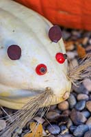 Pumpkin mouse made with Pumpkin 'Swan White' with ornamental grass whiskers, rose hip eyes, Berberis ears and twisted Hazel tail.
