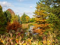Looking across the lake at Bodenham Arboretum, with lots of autumn colour and a blue sky. 