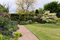 A gravel pathway separates a mixed border and lawn which hosts a small wild flower meadow, with a herbaceous border containing a Glediitsia tree and Cornus contoversa 'Variegata' or wedding cake tree behind.