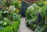View along paved path to garden shed, passing raised beds edged in box hedging, planted with white agapanthus, cosmos, hydrangeas, geraniums and roses. Tall table with steel dish of succulents.
