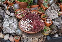 A huge, unattractive base for a sun parasol is disguised by wooden logs and sundy pots of succulents.