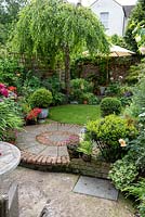 An 11m x 4m town plot has interlinked circles of paving and grass, leading to a rear deck shaded by a birch tree, Betula pendula. Pots of small-leaved holly balls,  Ilex crenata 'Kinme', add a formal touch beside winding beds of allium, peonies and roses.