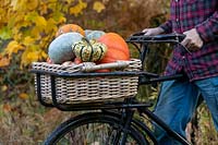 Woman with old trade bike, squashes