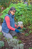 Woman using a hand trowel to scatter chilli flakes to deter mice and other pests from digging up and eating newly planted bulbs