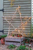 Illuminated natural star leaning against wooden shed