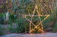 Illuminated natural star with fairylight made from lengths of Hazel sticks, in front of shrub border