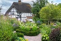 A contemporary garden with Amelanchier, a gravel area and yew-edged beds of  tall perennials, ornamental grasses and Cosmos, thatched cottage beyond