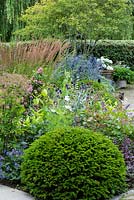 A Taxus - Yew - dome in front of a bed of flowering perennials, ornamental grasses, shrubs and beyond an Amelanchier lamarckii and a white Hydrangea in a pot
