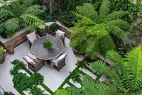 Bird's-eye view of enclosed courtyard with outdoor seating. Green and white colour scheme with Dicksonia antartica - Tree Fern, between paving ferns and Soleirolia soleirolii syn. Helxine soleirolii - Mind-your-own-business