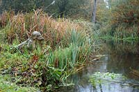 Spring fed garden pond with emergent reeds and aquatic plants and a lichen encrusted garden sculpture of a gun dog beside the pond