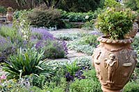Summer border with ornate terracotta urns and beds planted with Lavandula angustifolia and Stachys byzantina