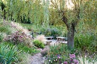 Willow overhanging seating area with late summer planting - Sedlescombe Primary School, Sussex