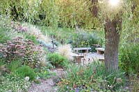 Willow overhanging seating area with late summer planting - Sedlescombe Primary School, Sussex
