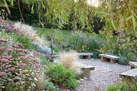 Late summer planting around seating area with overhanging willow tree - Sedlescombe Primary School, Sussex