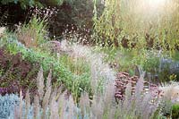 Border with Sedum, mixed grasses, oregano, Gaura and overhanging willow - Sedlescombe Primary School, Sussex, UK.