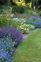 Echium vulgare 'Blue Bedder' is combined with Salvia verticillata 'Purple Rain' in this bed at Mill House