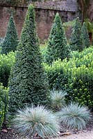 Knot garden with Euonymus 'Green Spire', clipped Taxus - Yew - pyramids and ornamental grass