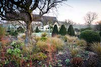 Mixed border with Cornus 'Midwinter Fire', ornamental grasses and Helleborus - Hellebore, beyond topiary and thatched cottage 