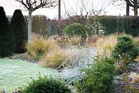 White bench framed with clipped box in March with borders of Pheasant grass, Sedums and Cornus sanguinea 'Midwinter Fire'